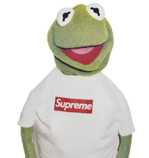 Screen Supreme Kermit Plush online at acbuySheets with global shipping