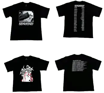 Screen  Destroy Lonely Alyx Tees online at CNFansSheets with global shipping