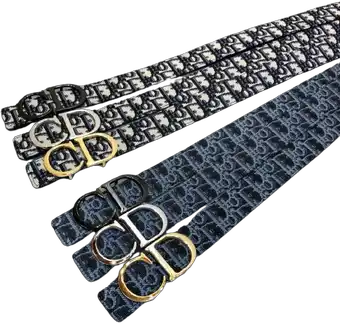 Screen Dior Belts (8 Variants) online at acbuySheets with global shipping