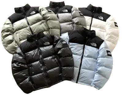 Screen North Face 1996 Nupste Puffer Jacket [Husky Batch] #2 online at acbuySheets with global shipping