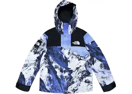 Screen Supreme x North Face Mountain Parka Jacket online at acbuySheets with global shipping